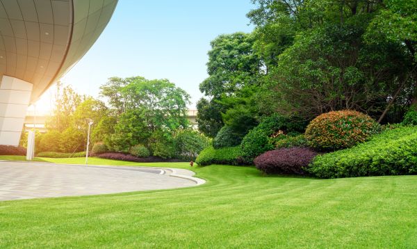 Commercial Shrub Trimming in Lake Mary