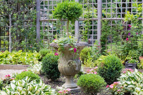 Topiary Pruning in Lake Mary