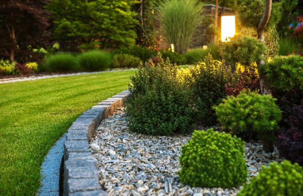 Bush Relocation in Lake Mary