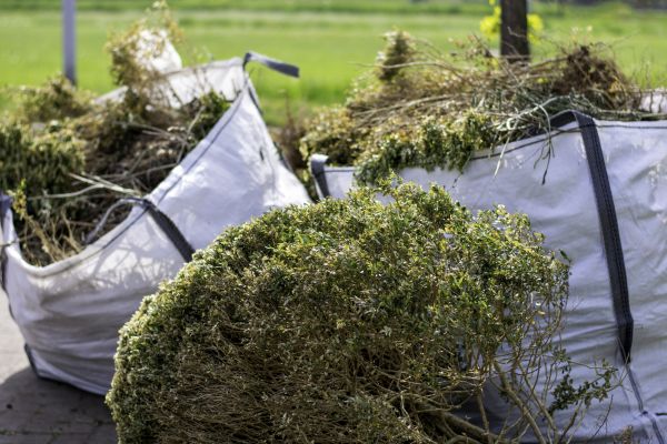 Shrubs Removal in Lake Mary