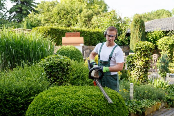 Shrubs Trimming in Lake Mary